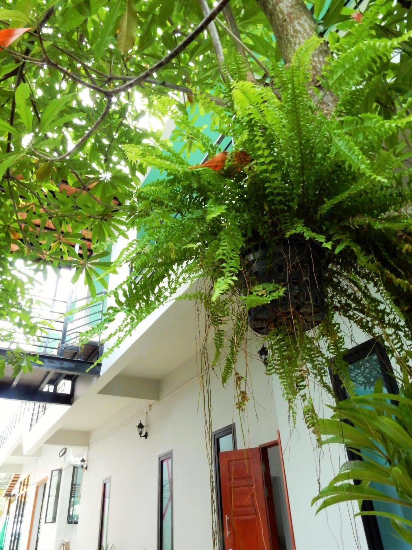Wandee Bed & Breakfast Khao Lak Bagian luar foto